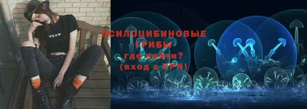 героин Алексин