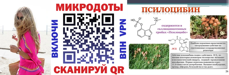 Псилоцибиновые грибы Psilocybine cubensis  MEGA как зайти  Болхов 